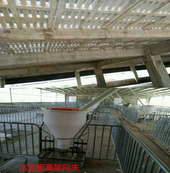 高架網(wǎng)床設計圖，高架網(wǎng)床養(yǎng)豬建造，為您提供高架網(wǎng)床養(yǎng)豬、牛、羊全方位一條龍建設服務