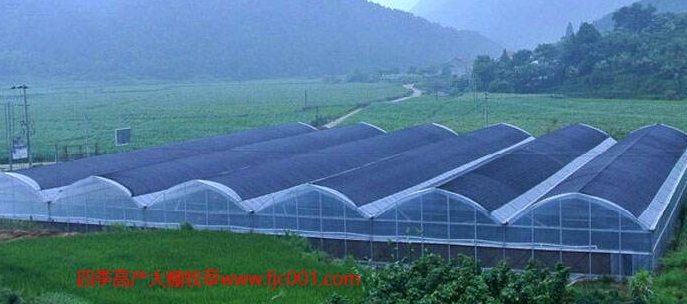 使用大棚種植高吸水吸肥能力的牧草消耗養(yǎng)殖場(chǎng)的糞污，成本低，操作簡(jiǎn)單，帶來(lái)的效益非常顯著