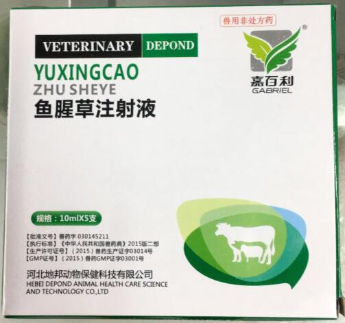魚腥草注射液-清熱解毒，消腫排膿,利尿通淋-河北地邦
