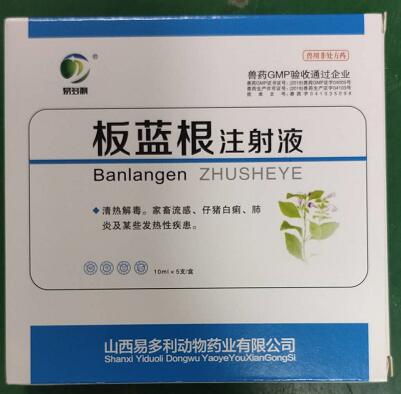 板藍(lán)根注射液，清熱解毒。家畜流感、仔豬白痢，肺炎及某些發(fā)熱性疾患。--山西易多利