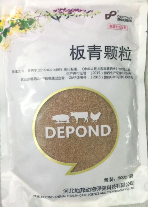 板青顆粒-清熱解毒，涼血。主治風(fēng)熱感冒，咽喉腫痛，熱病發(fā)斑。-河北地邦