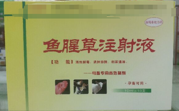魚腥草注射液，清熱解毒，消腫排濃，利尿通琳，乳房脹痛，排尿不暢等