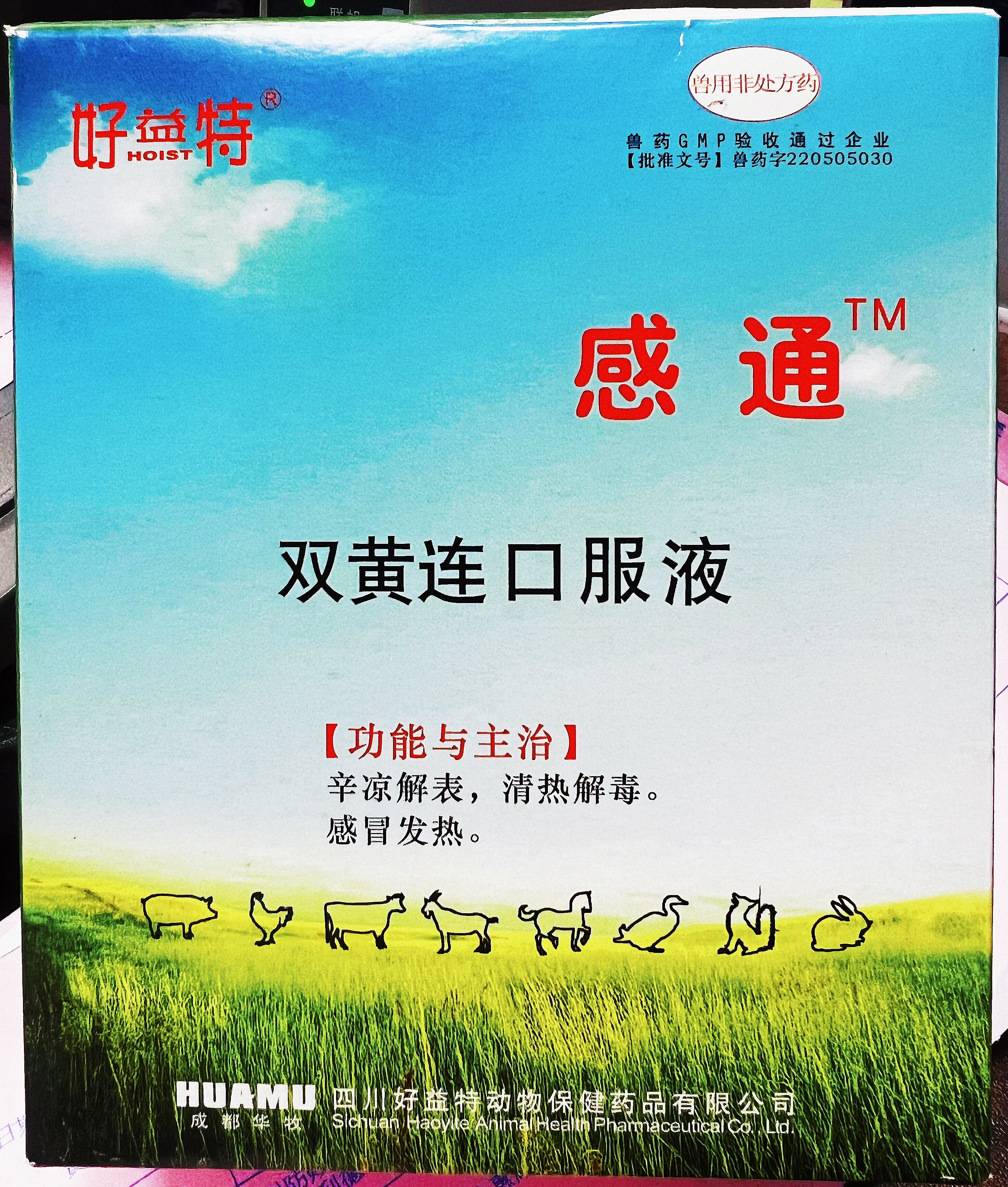 雙黃連口服液，辛涼解表，清熱解毒，感冒發(fā)熱，體溫升高，發(fā)熱與惡寒同時(shí)并見