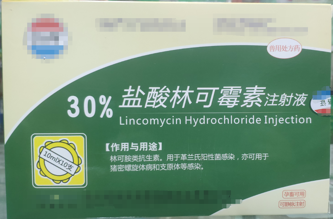 30%林可霉素注射液，用于革蘭氏陽性菌感染，亦用于母蓄的產(chǎn)后消炎，亦可用于豬密螺旋體和支原體感染