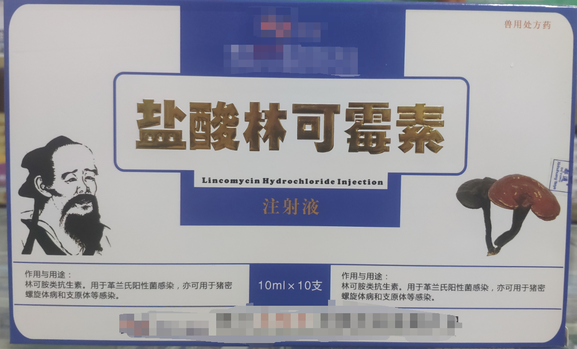 林可霉素注射液，用于革蘭氏陽性菌感染，亦可用于豬密螺旋體和支原體感染