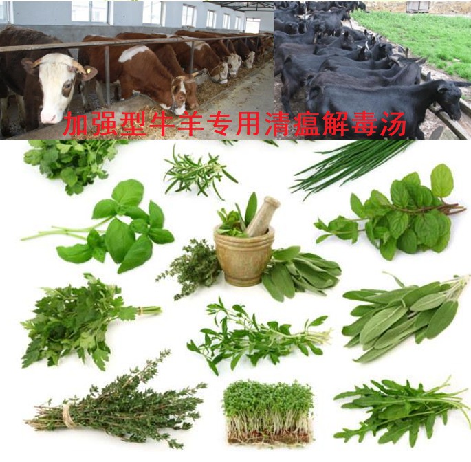 加強(qiáng)型牛羊?qū)Ｓ们逦两舛緶?6味原生中草藥公開(kāi)組方，牛羊養(yǎng)殖場(chǎng)常備無(wú)憂(yōu)