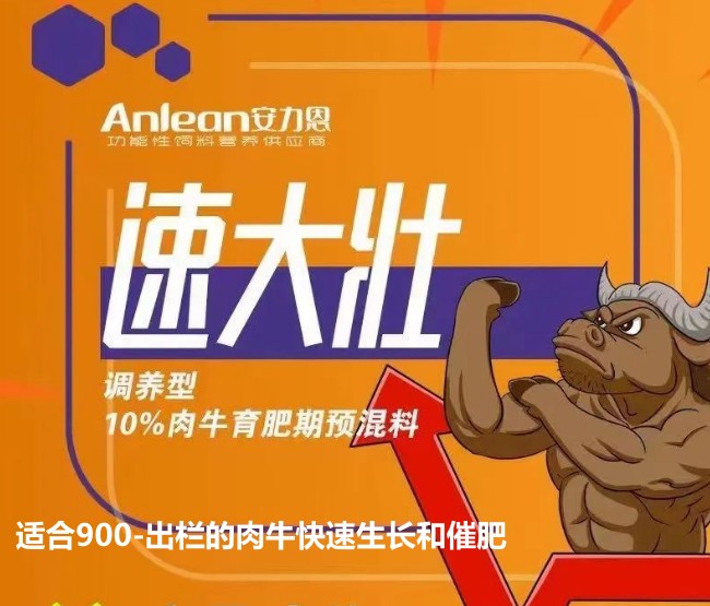 安力恩——速達(dá)壯調(diào)養(yǎng)型10%肉牛育成期預(yù)混料-適合900-出欄的肉?？焖偕L(zhǎng)和催肥