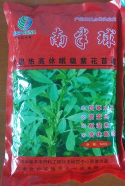 南半球紫花苜蓿,富含粗蛋白、維生素和礦物質(zhì)及動(dòng)物必需的氨基酸優(yōu)質(zhì)牧草