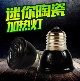 迷你陶瓷加熱燈爬蟲鬃獅夜燈保溫?zé)絷扆斚潋狎骘曫B(yǎng)箱爬寵箱加熱器
