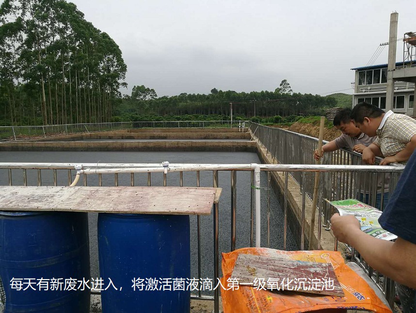 每天有新廢水進(jìn)入，將激活菌液滴入第一級(jí)氧化沉淀池.jpg