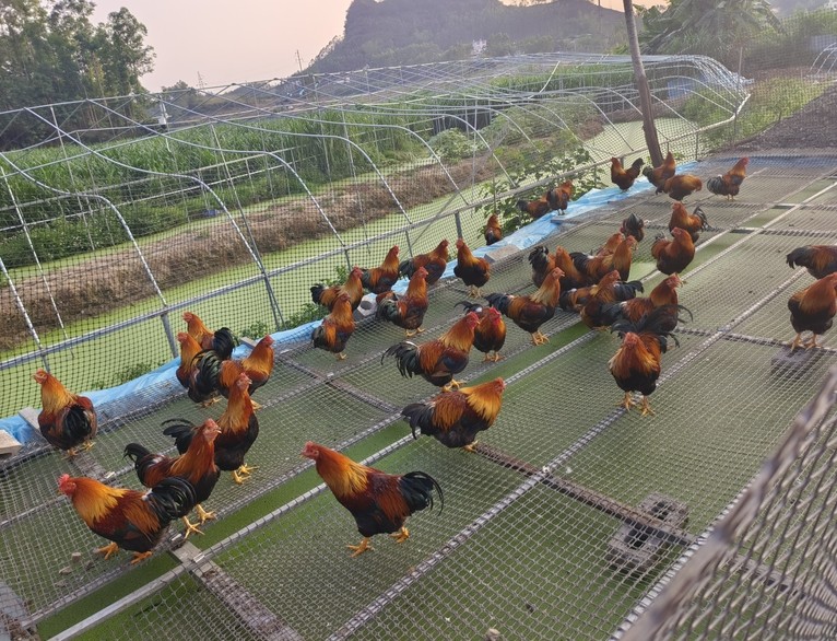 微信截圖_20250509214858.jpg