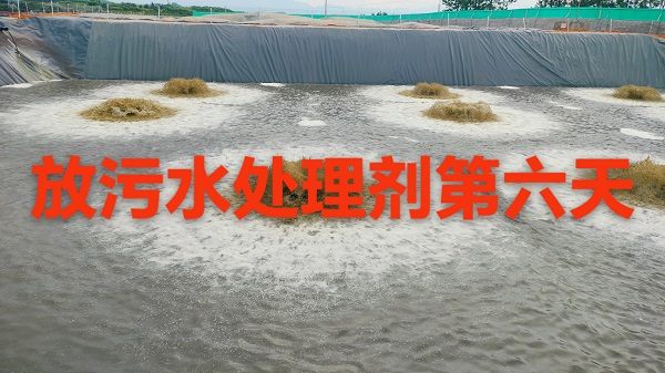 微信圖片_20250722212938.jpg