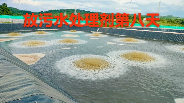 微信圖片_20250722212946.jpg
