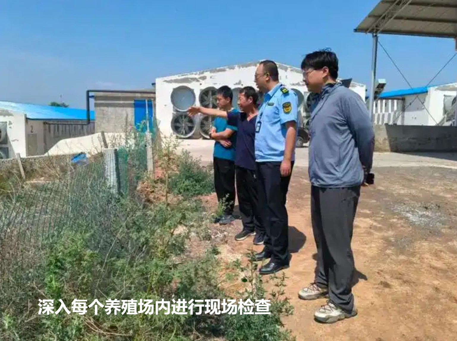 深入每個養(yǎng)殖場內(nèi)進(jìn)行現(xiàn)場檢查.jpg