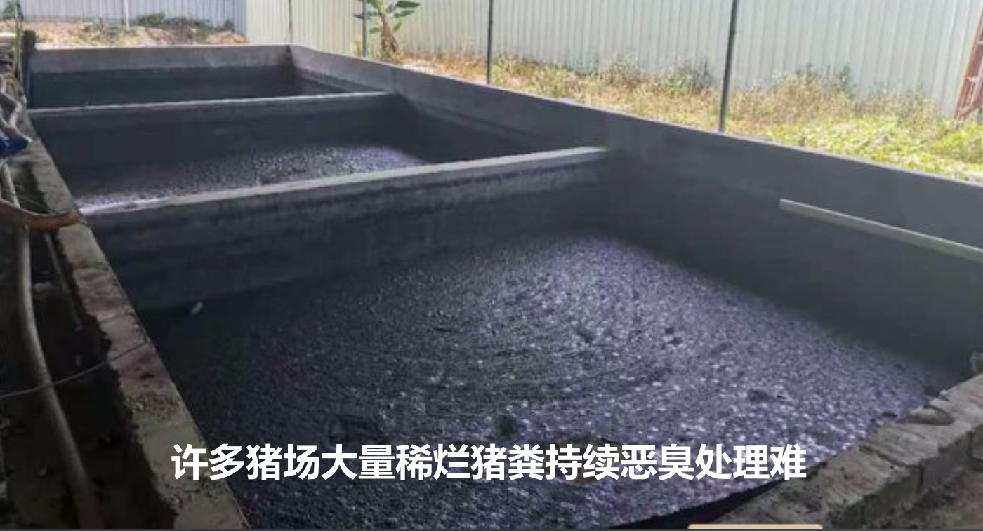 許多豬場(chǎng)大量稀爛豬糞持續(xù)惡臭處理難.jpg